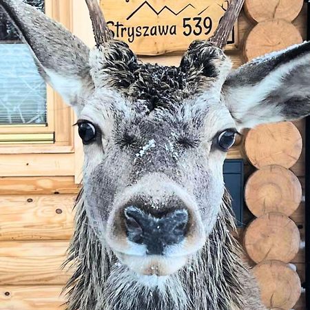 Sielsko Anielsko Villa Stryszawa Kültér fotó